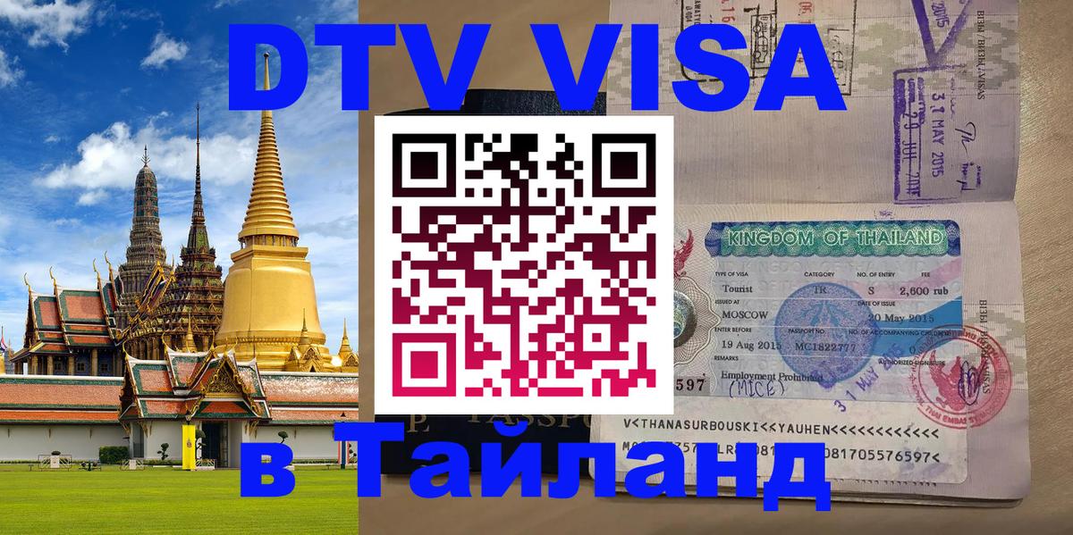 Оформление DTV визы под ключ: стоимость и тарифы, только загранпаспорт - 18.11.2025 